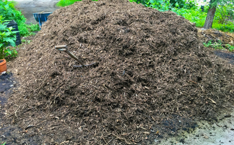 Large pile of shredded bark mulch in my driveway